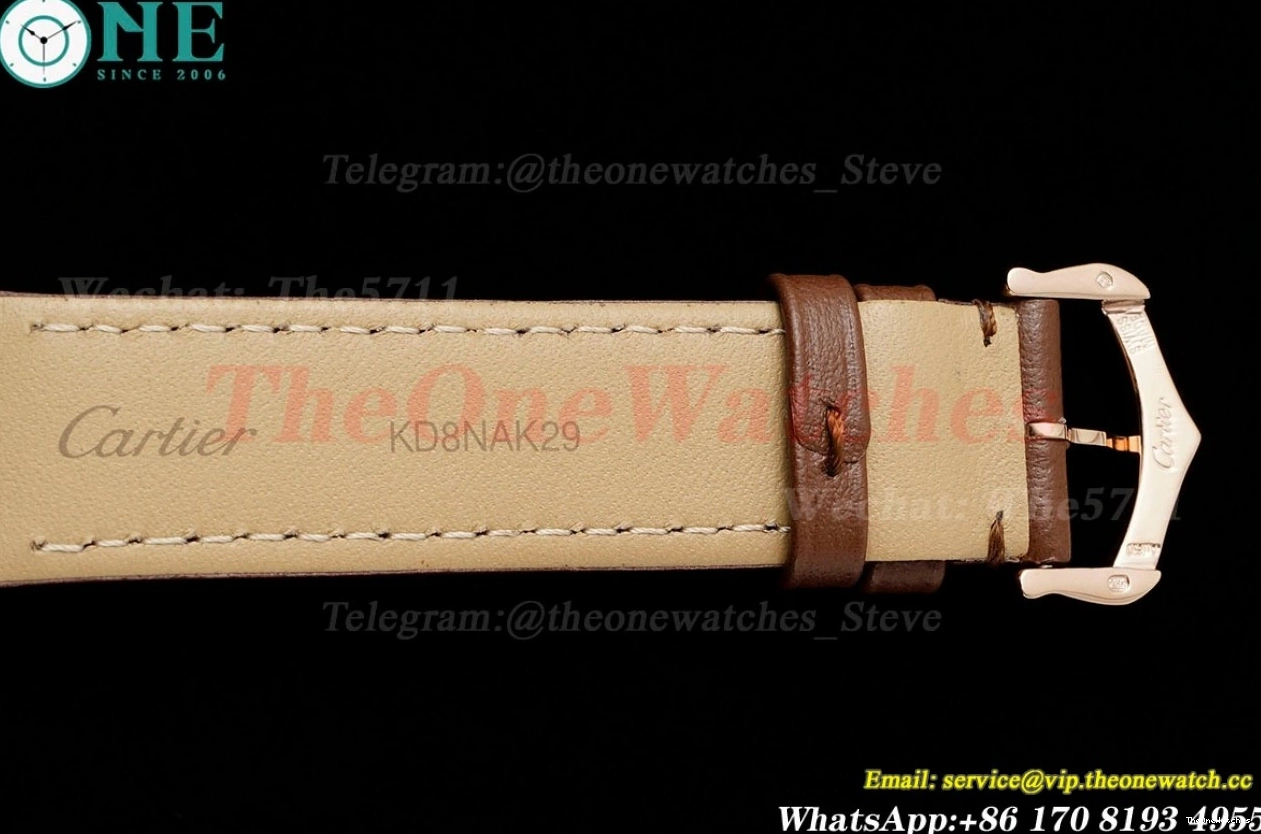 Dumont Dial Silver Brown Santos Quartz LE RG AF Dia 0313